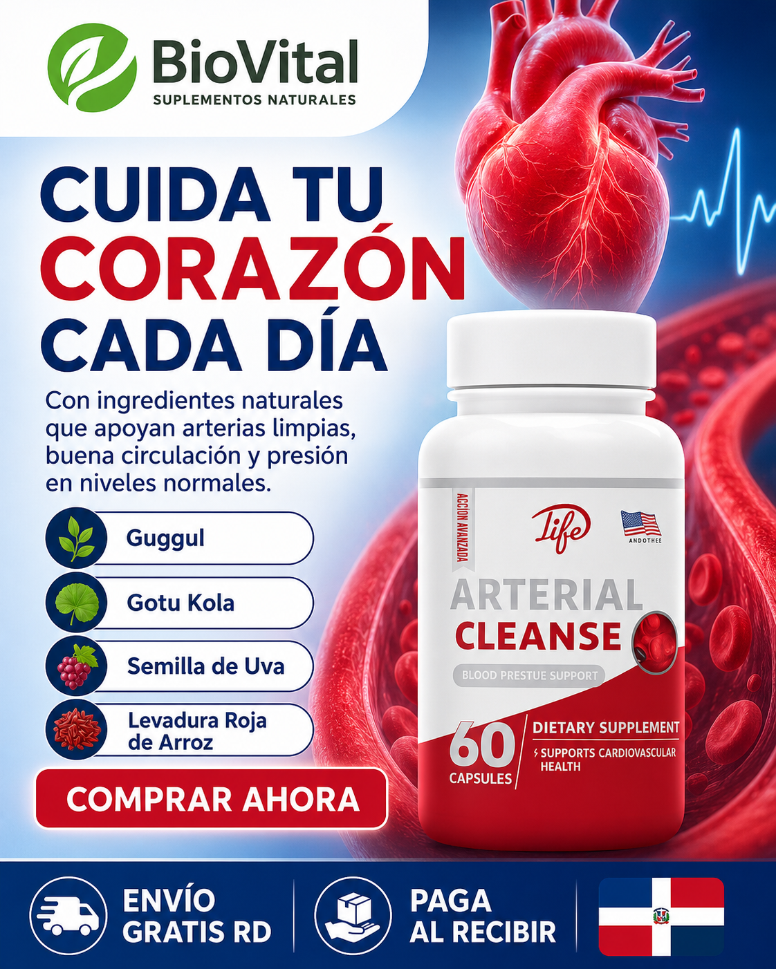 💓 Arterial Cleanse (60 Capsulas): apoyo natural para arterias limpias y circulación saludable.