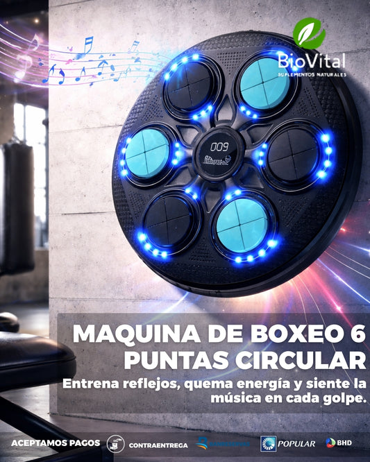 MAQUINA DE BOXEO 6 PUNTAS CIRCULAR | Entrena reflejos, quema energía y siente la música en cada golpe